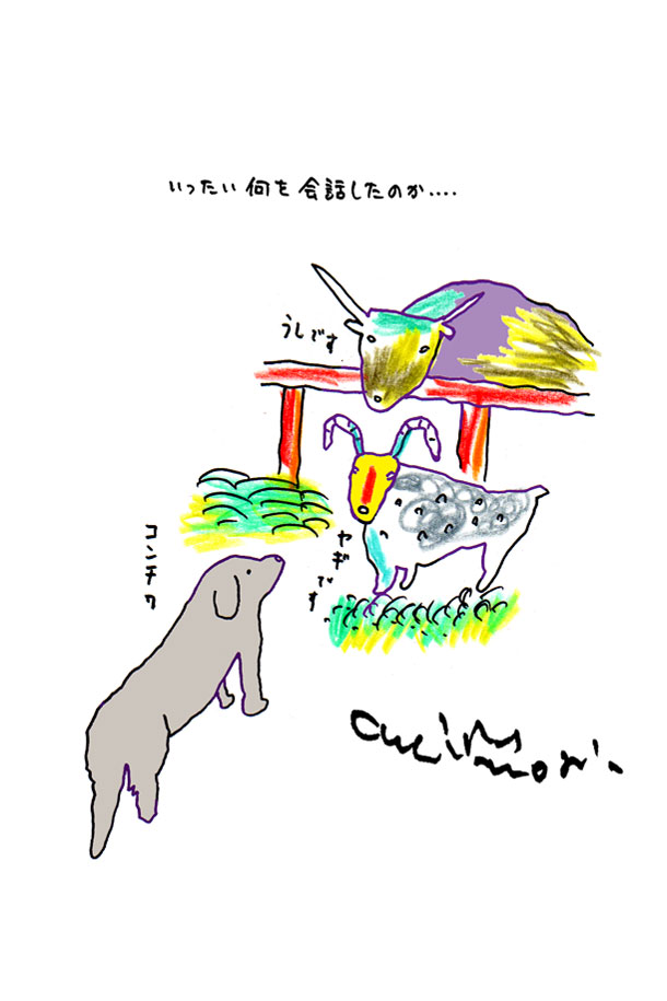 クジライラスト