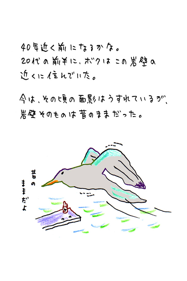 クジライラスト