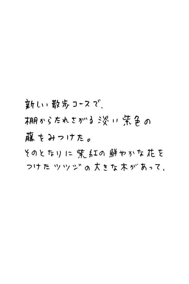 クジライラスト