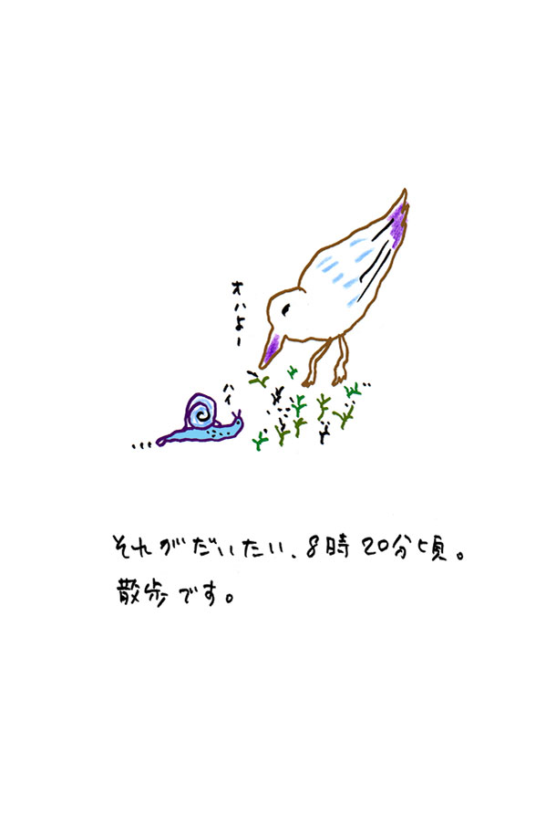 クジライラスト