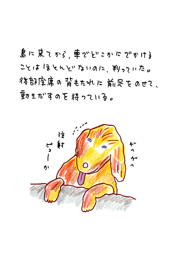 クジライラスト