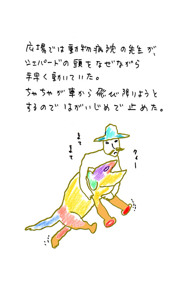 クジライラスト