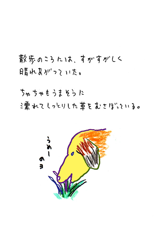 クジライラスト