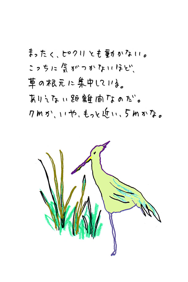 クジライラスト