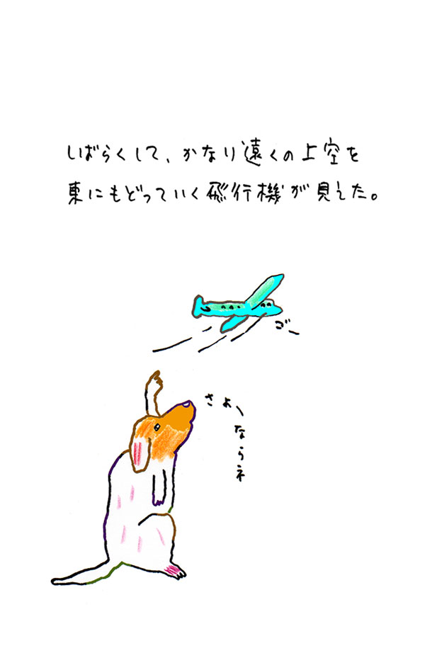 クジライラスト