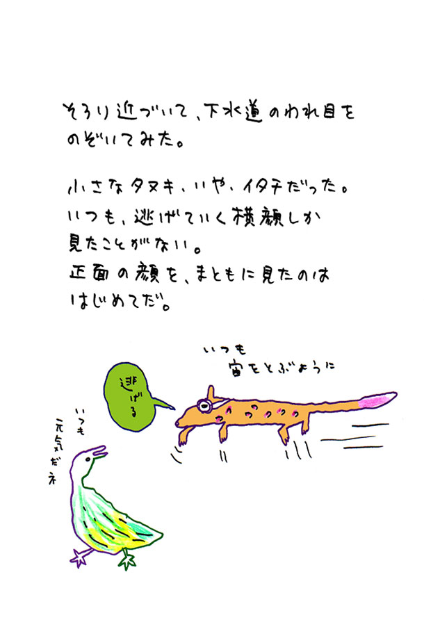 クジライラスト