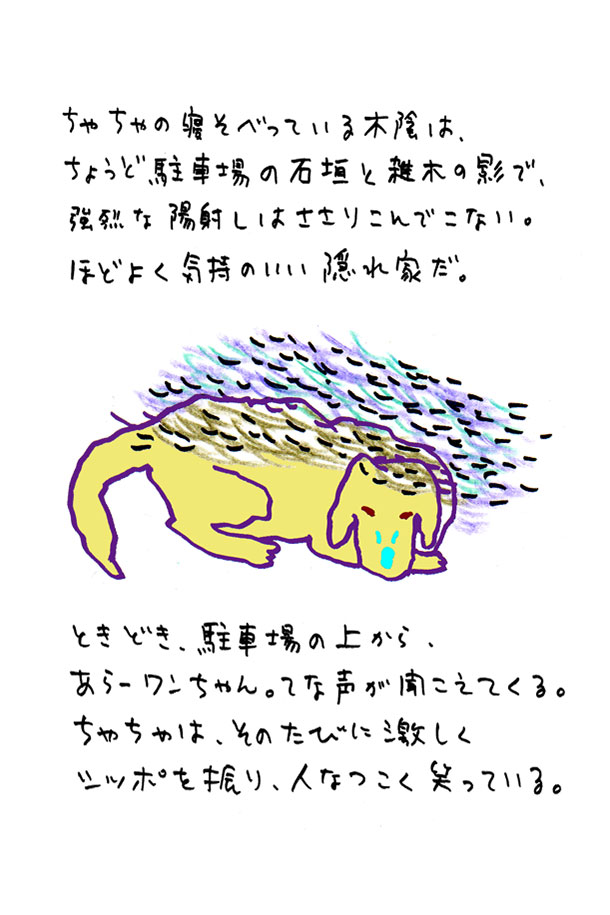 クジライラスト