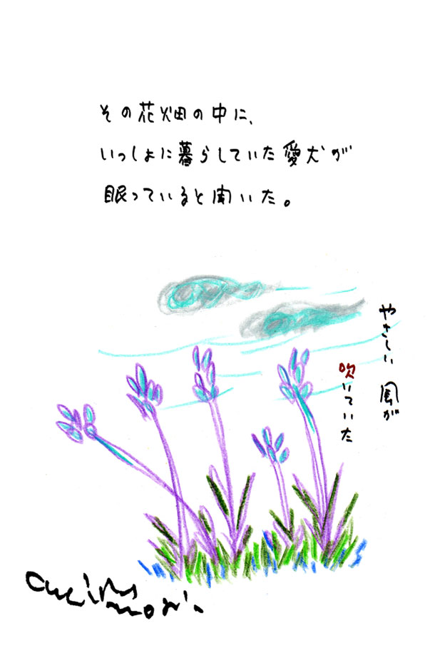 クジライラスト