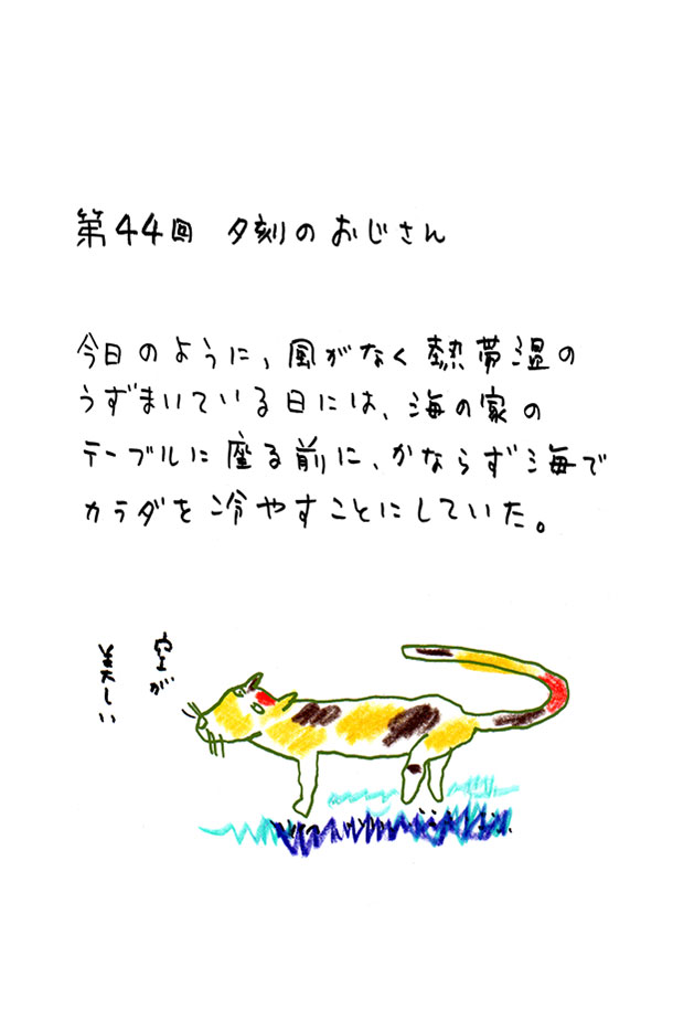 クジライラスト