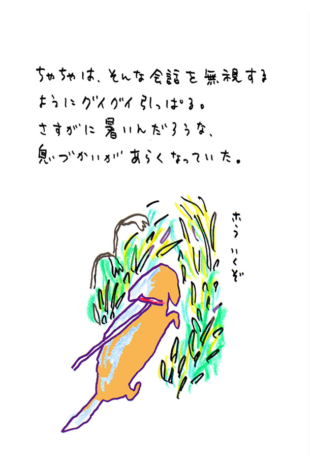 クジライラスト