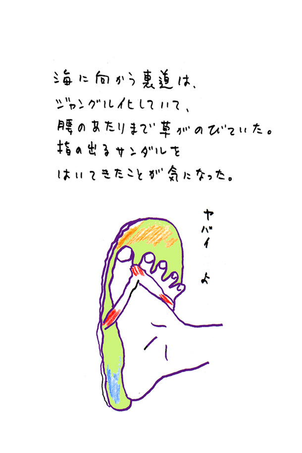 クジライラスト
