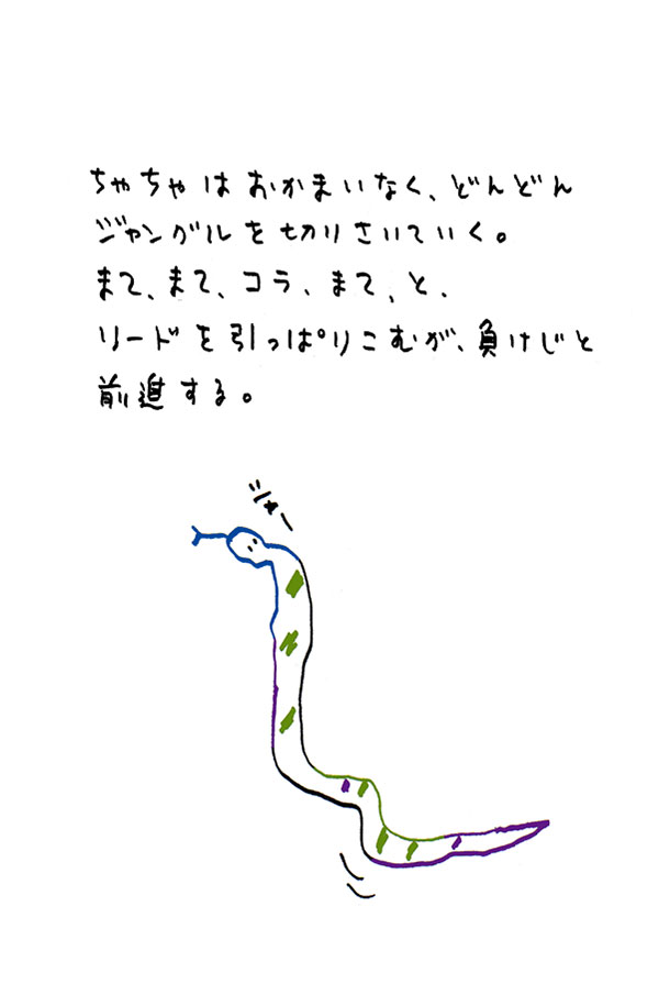 クジライラスト