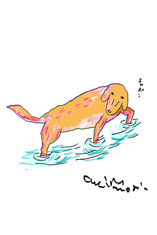 クジライラスト