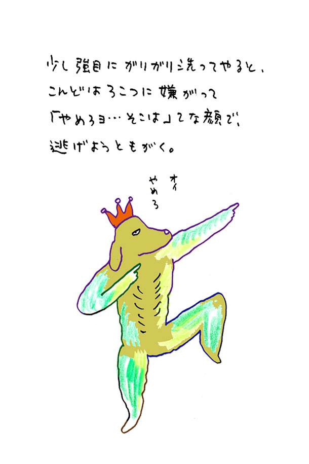 クジライラスト