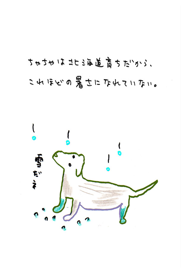 クジライラスト