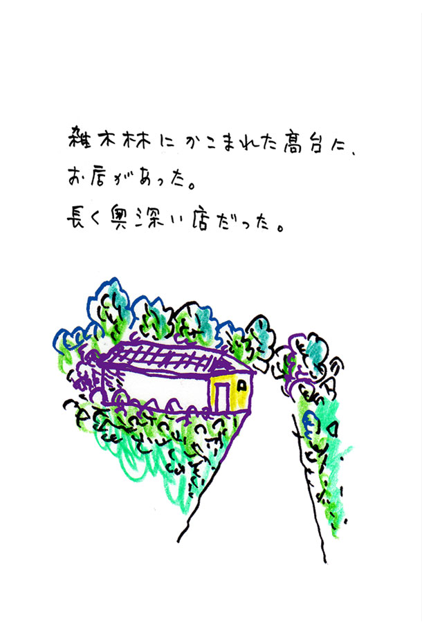クジライラスト
