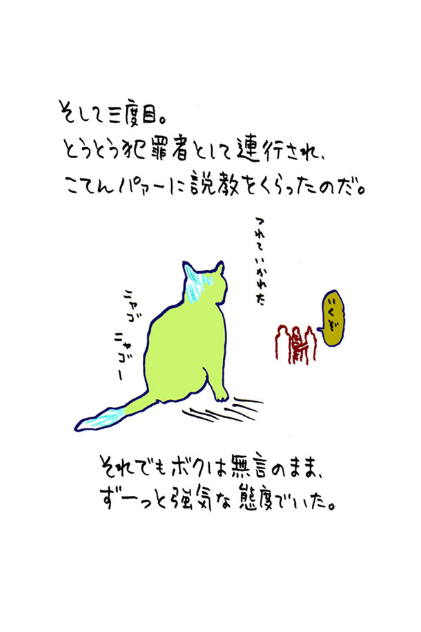 クジライラスト