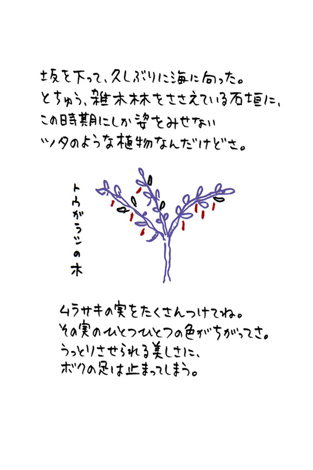 クジライラスト