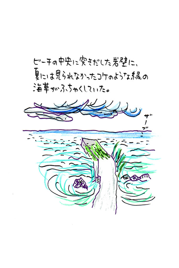 クジライラスト