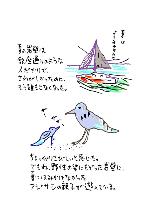 クジライラスト