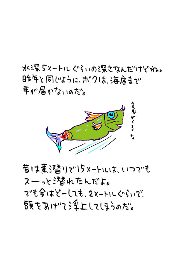 クジライラスト