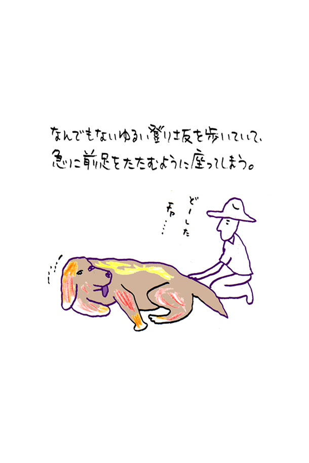 クジライラスト