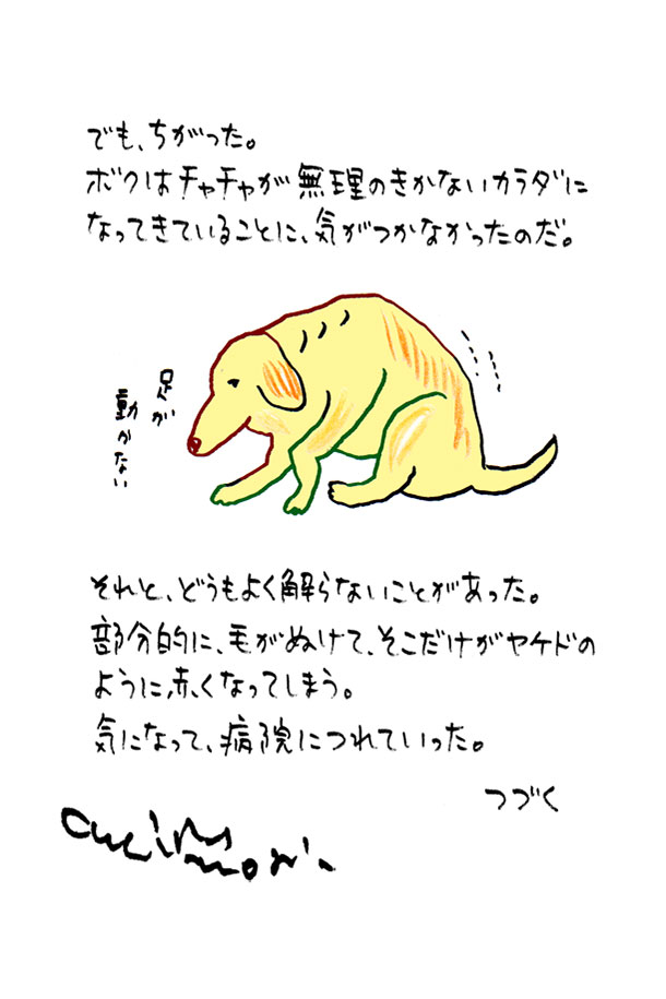 クジライラスト