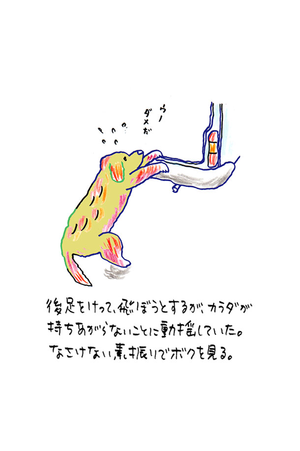 クジライラスト