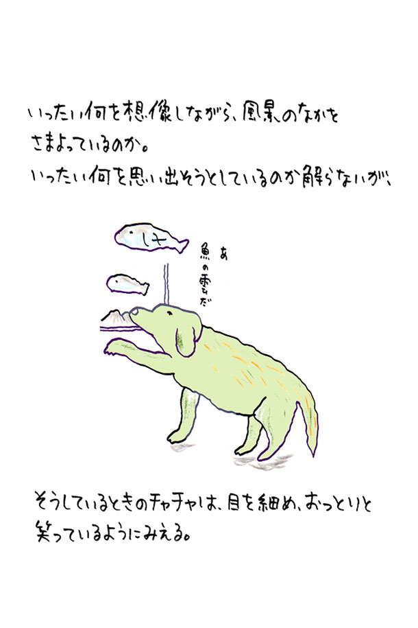 クジライラスト