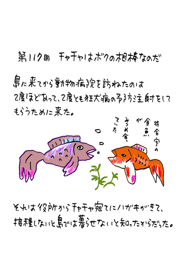 クジライラスト