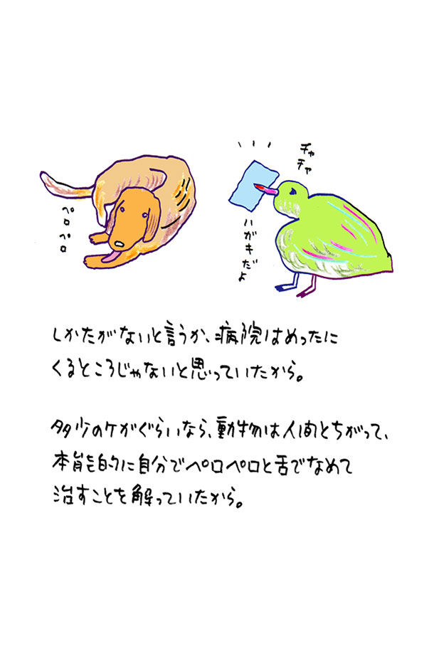 クジライラスト