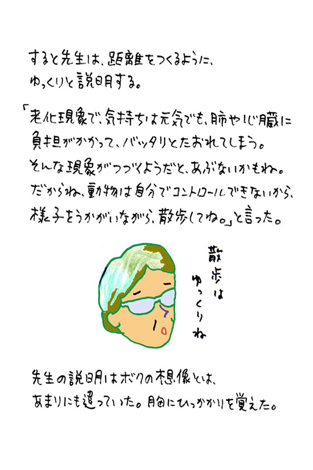 クジライラスト