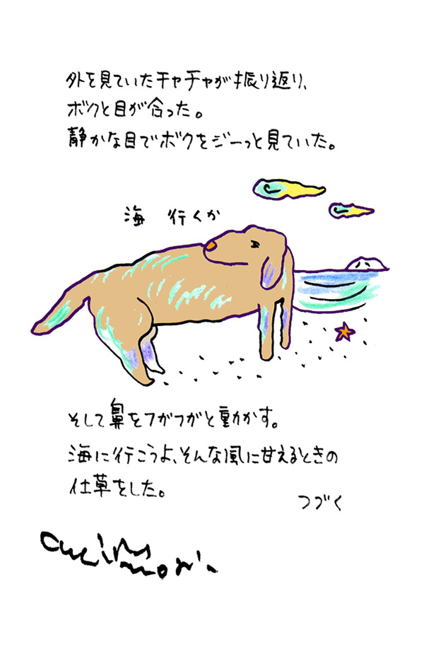 クジライラスト