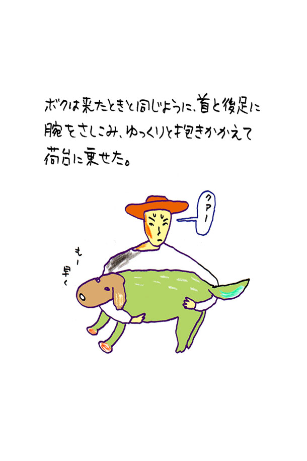 クジライラスト