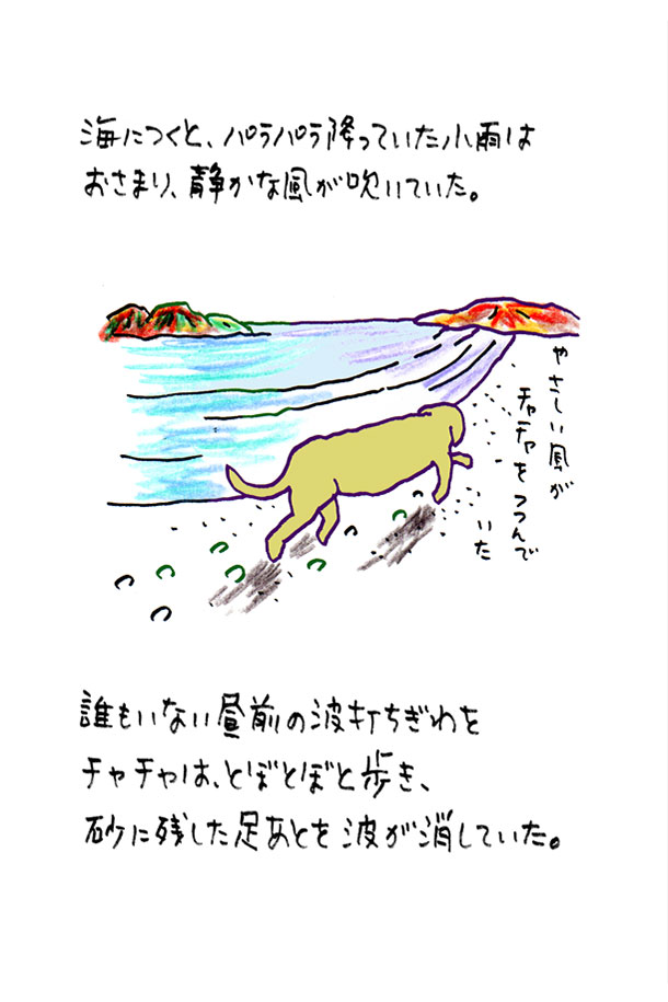 クジライラスト