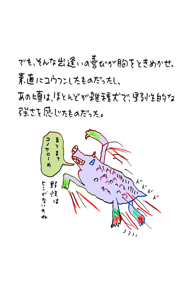 クジライラスト