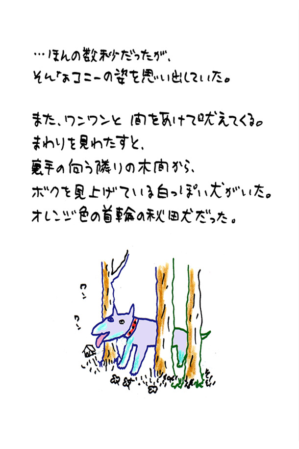 クジライラスト