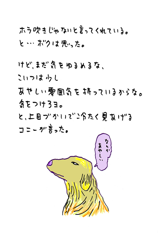 クジライラスト