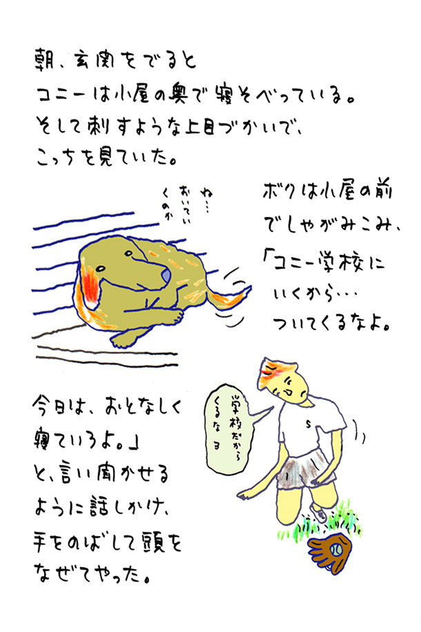 クジライラスト