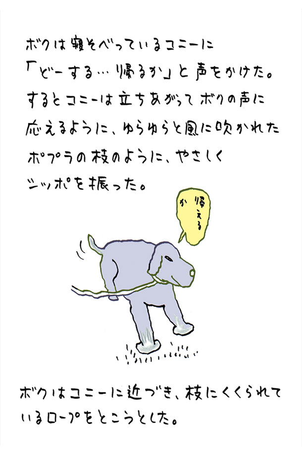 クジライラスト