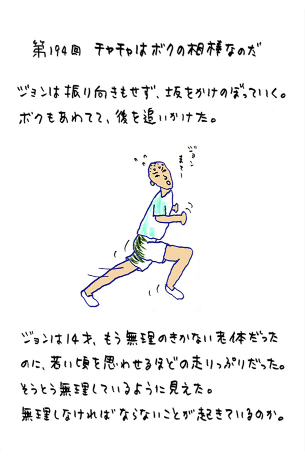 クジライラスト