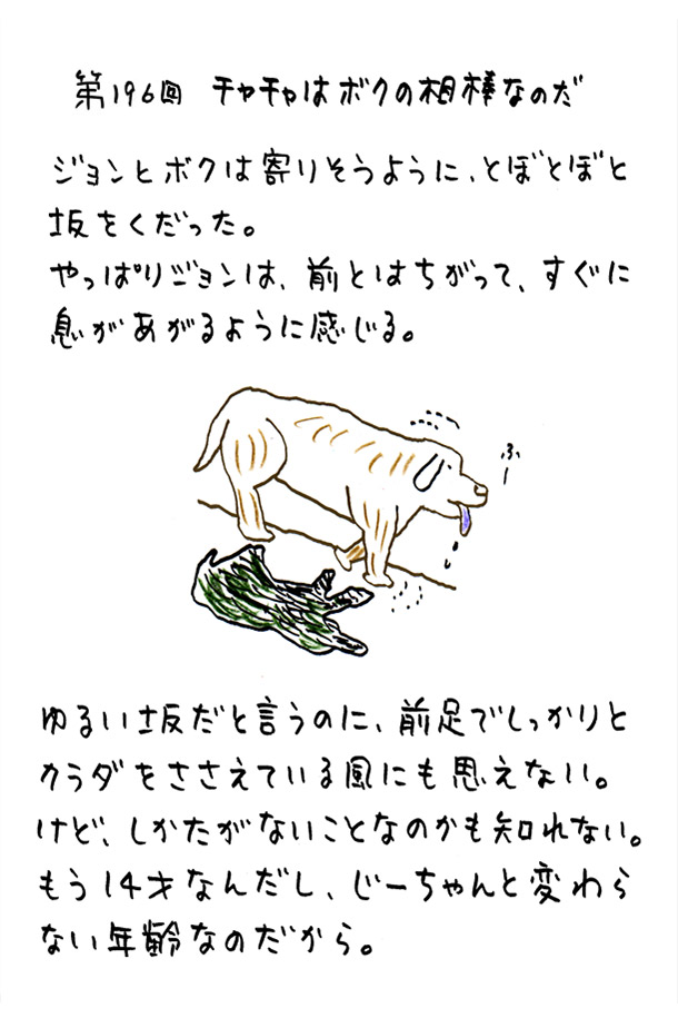 クジライラスト