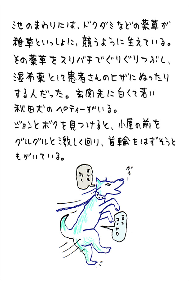 クジライラスト