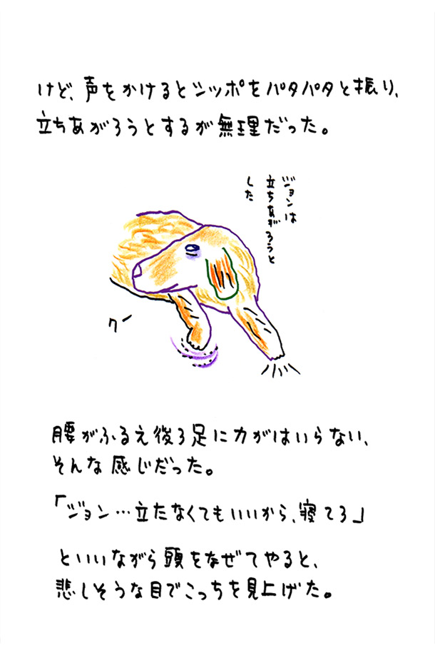 クジライラスト