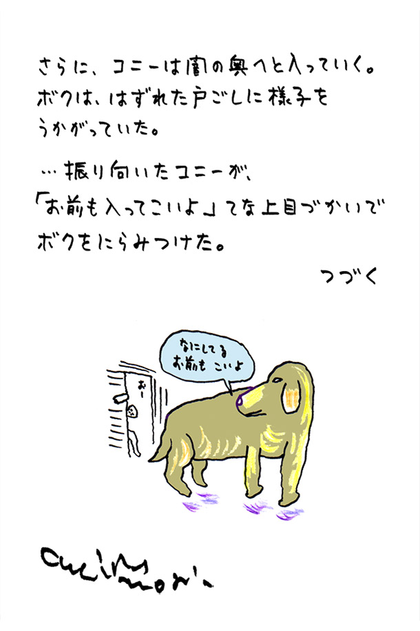 クジライラスト