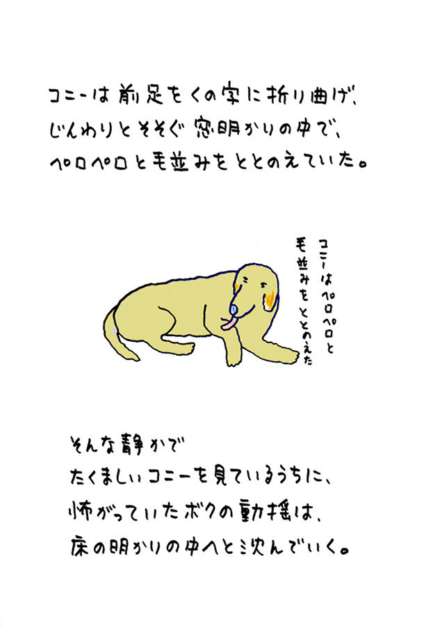 クジライラスト