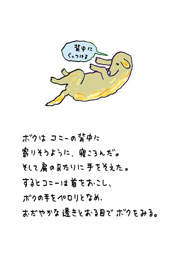 クジライラスト