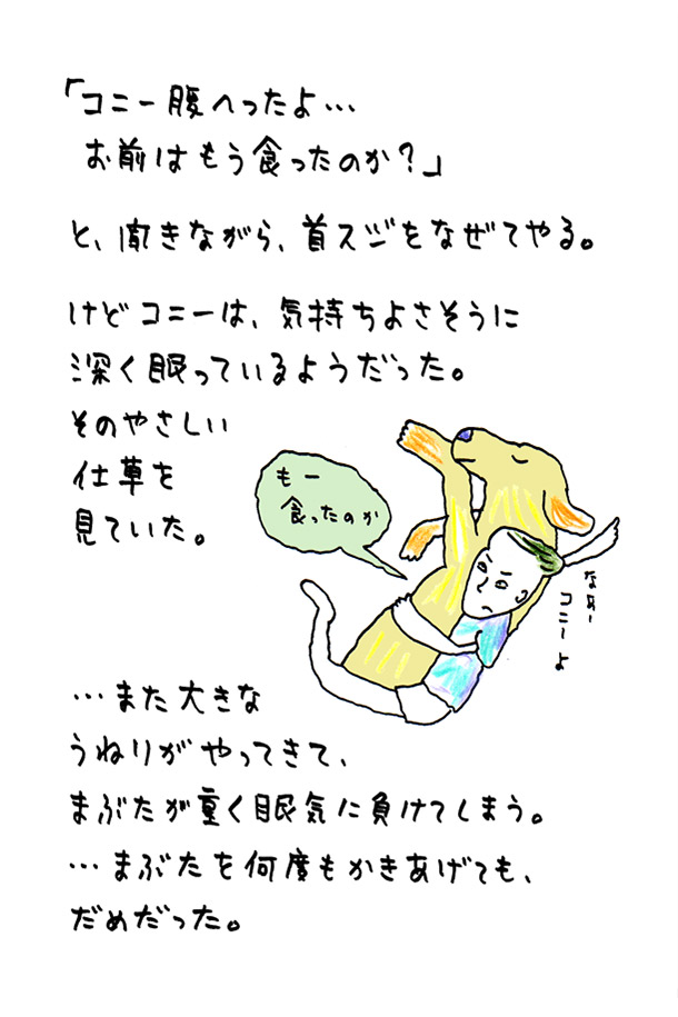 クジライラスト