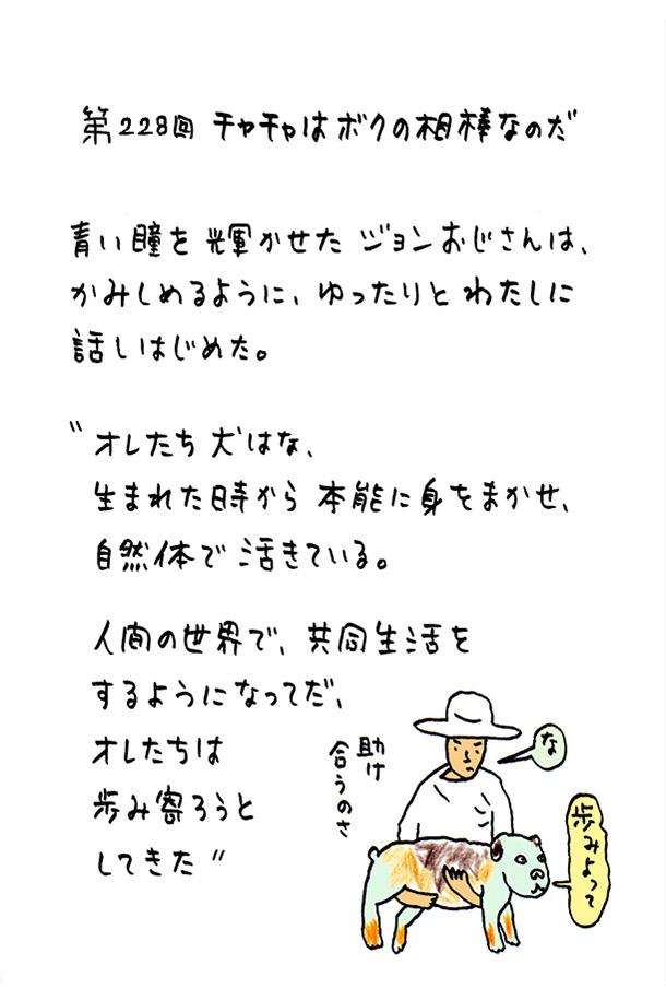 クジライラスト