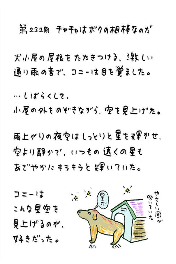 クジライラスト